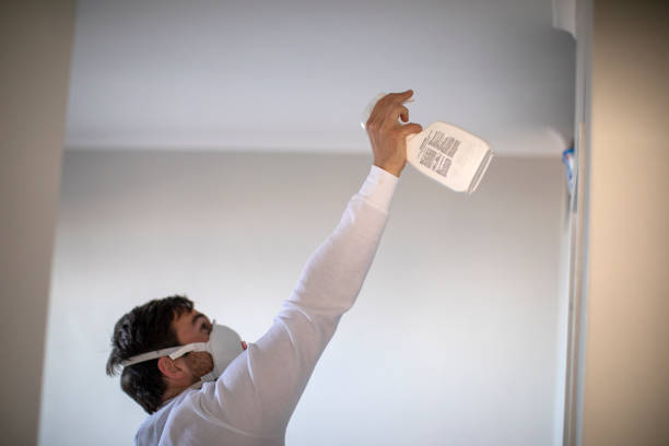 Best Mold Remediation  in Maple Grove, MN