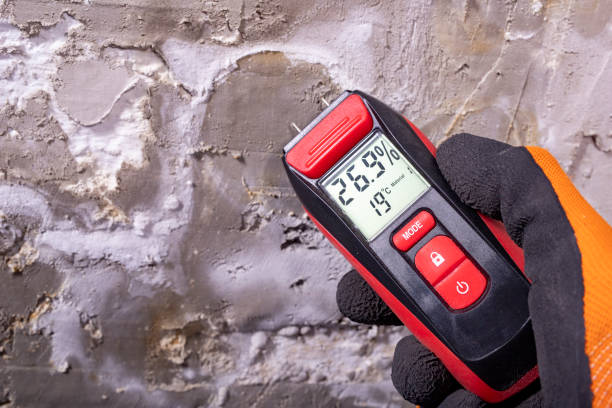Best Residential Mold Removal  in Maple Grove, MN